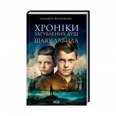 Книга Хроніки загублених душ. Шлях Давида - Єлізавета Восковнюк КСД (9786171293007)