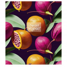 Зошит Школярик The sweet strange клітинка 48 аркушів (048-3239K)