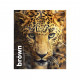 Зошит Школярик Animal palette лінія 48 аркушів (048-3245L)