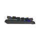 Клавіатура A4Tech FS100 RGB FS Switch USB Stone Black (4711421000567)