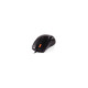 Мишка A4Tech N-70FXS Black (4711421948760)