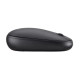 Мишка Acer AMR100 Optical Wireless Bubble Black (GP.MCE11.034)