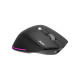 Мишка Acer Easy Fit Wireless Black (HP.EXPBG.021)
