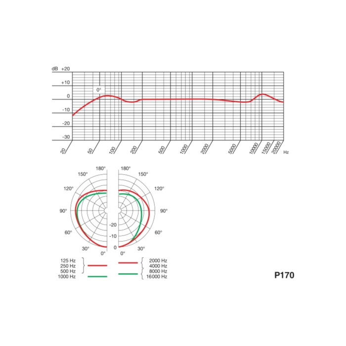 Мікрофон AKG P170 (3101H00410)