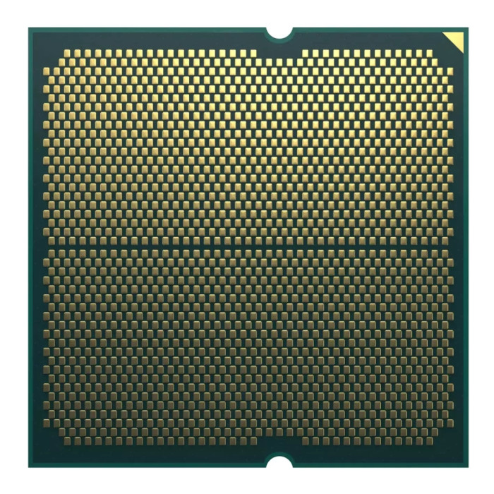 Процесор AMD Ryzen 7 7700 (100-100000592SPK)