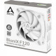 Кулер до корпусу Arctic BioniX F120 Grey/White (ACFAN00164A)