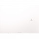 Ноутбук ASUS Zenbook S 13 OLED UM5302TA-LV498W (90NB0WA7-M00PY0)