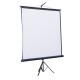 Проекційний екран Atria TRM-NTSC-120D