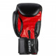 Боксерські рукавички Benlee Fighter 12oz Black/Red (194006 (blk/red) 12oz)