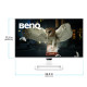 Монітор BenQ EW270Q White