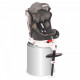 Автокрісло Bertoni/Lorelli Pegasus Isofix 0-36 кг Dark/Light Grey (PEGASUS d/l.grey)