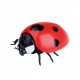 Радіокерована іграшка Best Fun Toys Ladybug (6337205)