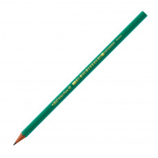 Олівець графітний Bic Evolution HB, в блістері, 4 шт (bc8902764)