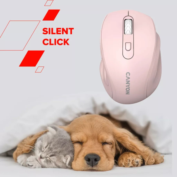 Мишка Canyon OnClick 20 Wireless White (CNE-CMSW20W)
