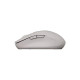 Мишка Canyon MW-12 Wireless/Bluetooth Beige (CNS-CMSW12BG)