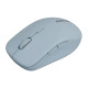 Мишка Canyon MW-12 Wireless/Bluetooth Blue (CNS-CMSW12BL)