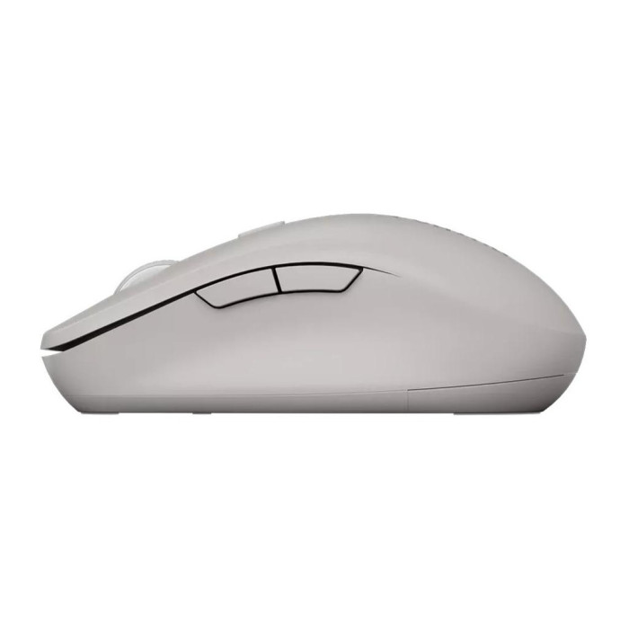 Мишка Canyon MW-12 Wireless/Bluetooth Grey (CNS-CMSW12DG)