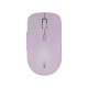 Мишка Canyon MW-12 Wireless/Bluetooth Pink (CNS-CMSW12P)