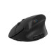 Мишка Canyon MW-25 LED Silent Wireless/Bluetooth Black (CNS-CMSW25)