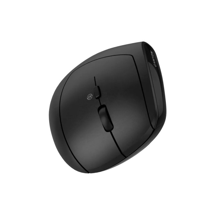 Мишка Canyon MW-25 LED Silent Wireless/Bluetooth Black (CNS-CMSW25)