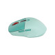 Мишка Canyon MW-26 LCD Silent Wireless/Bluetooth Green (CNS-CMSW26GR)