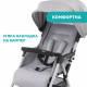 Коляска Chicco Ohlala 3 Stroller сіра (79733.72)