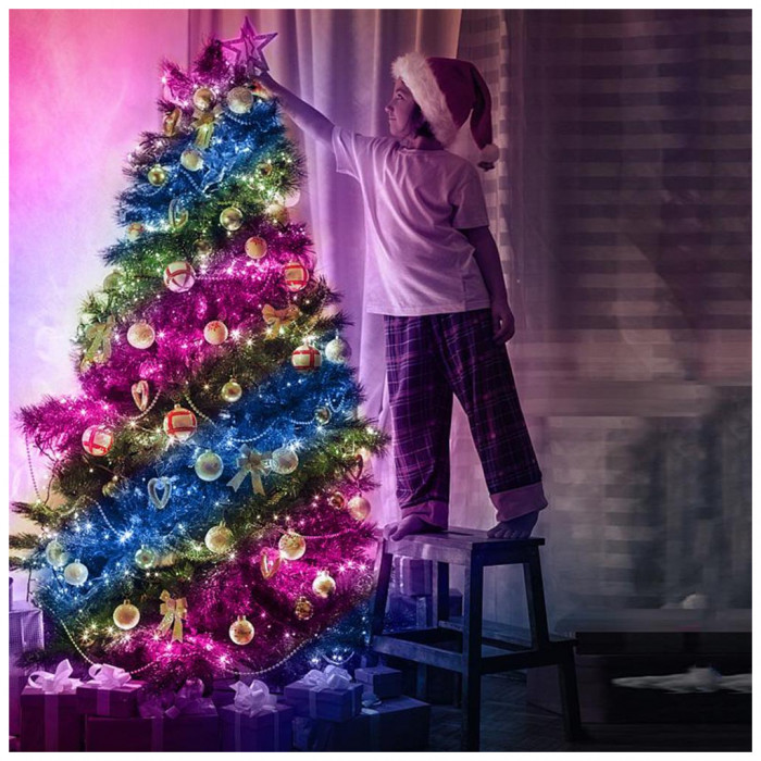 Гірлянда ColorWay Smart LED RGB WiFi+Bluetooth 10M 66LED IP65 (CW-GS-66L10UMC)