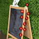 Гірлянда ColorWay Світлодіодна Christmas lights ball 6 см 20 LED 3 м USB Red (CW-MC-LB20U)