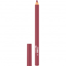 Олівець для губ Debby Long Lasting Lip Pencil 06 (8009518262773)