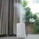 Зволожувач повітря Deerma Humidifier White (DEM-F628 5L)