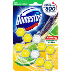 Туалетний блок Domestos Power 5 Свіжість Лайма 2 х 55 г (8710447326039)