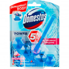 Туалетний блок Domestos Power 5 Видимий захист Квітковий букет 53 г (8717163788646)