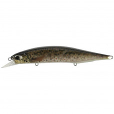 Воблер DUO Realis Jerkbait 120SP Pike 120mm 17.8g CCC3815 Brown Trout N (34.27.86)