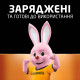 Акумулятор Duracell AA HR6 1300mAh * 2 (5000394039186 / 81367175)