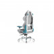 Крісло ігрове DXRacer Air PRO White-turquoise (AIR-R1S-WQ.G-B3-NVF)