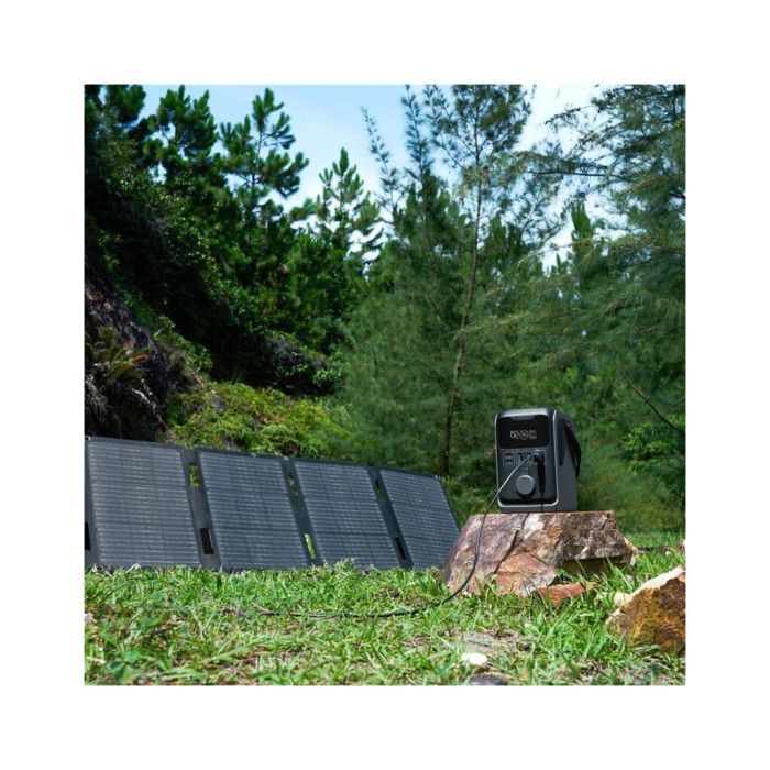 Зарядна станція EcoFlow TRAIL 300 DC 300W 288 Wh (EF-TRAIL300-N)