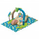 Ігровий розвиваючий центр Evenflo ExerSaucer Triple Fun Amazon (032884179305)