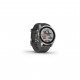 Смарт-годинник Garmin fenix 7S Stainless Steel w/Graphite Band, GPS (010-02539-01)