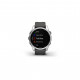 Смарт-годинник Garmin fenix 7S Stainless Steel w/Graphite Band, GPS (010-02539-01)