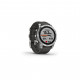 Смарт-годинник Garmin fenix 7, Silver w/Graphite Band, GPS (010-02540-01)