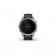 Смарт-годинник Garmin fenix 7, Silver w/Graphite Band, GPS (010-02540-01)