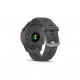 Смарт-годинник Garmin Forerunner 255 Basic, Slate Grey, GPS (010-02641-10)