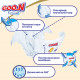 Підгузок GOO.N Premium Soft 4-8 кг розмір S на липучках 18 шт (863221)