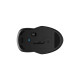 Мишка HP 255 Wireless Black (8R3U1UT)