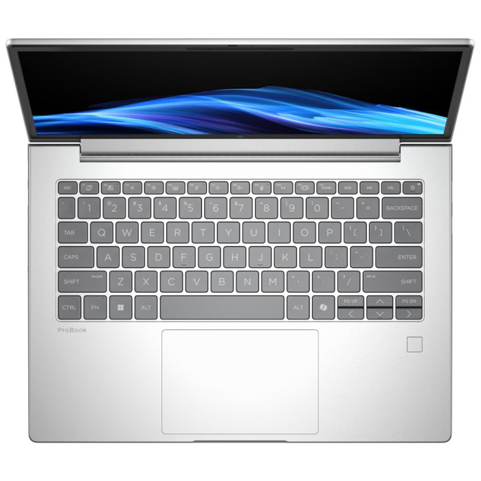 Ноутбук HP ProBook 4 G1i 14 (D0VG6ET)
