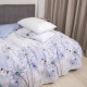 Постільна білизна Isleep 22185 ранфорс полуторний (22185_pl_isleep)