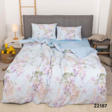 Постільна білизна Isleep 22187 ранфорс полуторний (22187_pl_isleep)