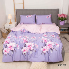 Постільна білизна Isleep 22189 ранфорс євро (22189_ev_isleep)