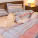 Постільна білизна Isleep cімейний Сатин Twill 31 (31_sm_Isleep)