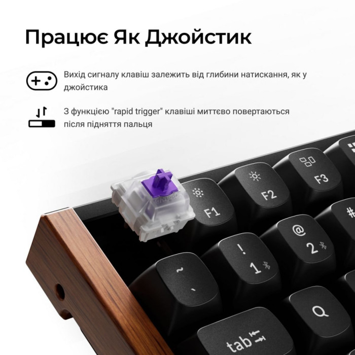 Клавіатура Keychron K2HE Gateron Double-Rail Magnetic Nebula Hot-swap QMK Wireless/Bluetooth/USB-А UA Wood/Black (K2H-F1-UA)